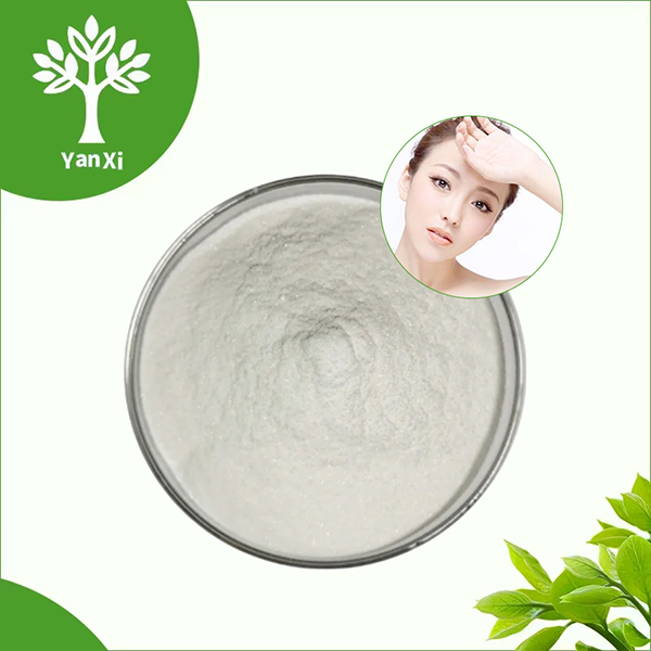 Ceramide Powder Bulk Ceramide Powder Bulk